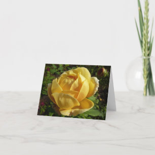 Gelbe Englische Rose Karte