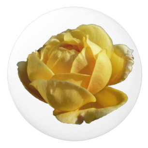 Gelbe Englische Rose Keramikknauf