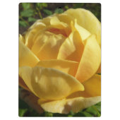 Gelbe Englische Rose Klemmbrett (Rückseite)