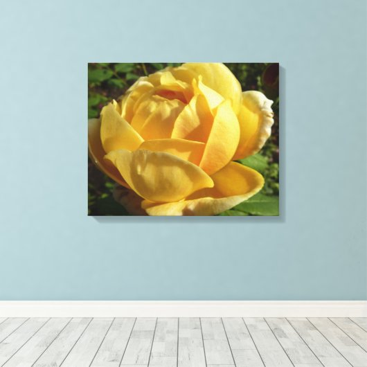 Gelbe Englische Rose Leinwanddruck (Insitu (Holzboden))