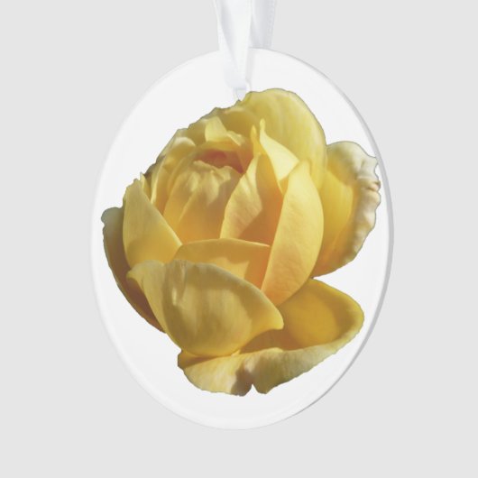 Gelbe Englische Rose Ornament (Vorderseite)