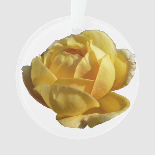 Gelbe Englische Rose Ornament (Vorderseite)