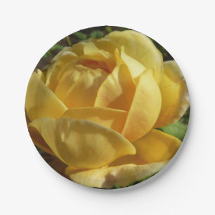 Gelbe englische Rose Pappteller