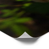 Gelbe Englische Rose Poster (Ecke)