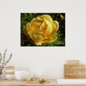 Gelbe Englische Rose Poster (Küche)