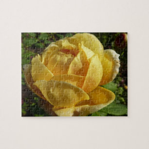 Gelbe Englische Rose Puzzle