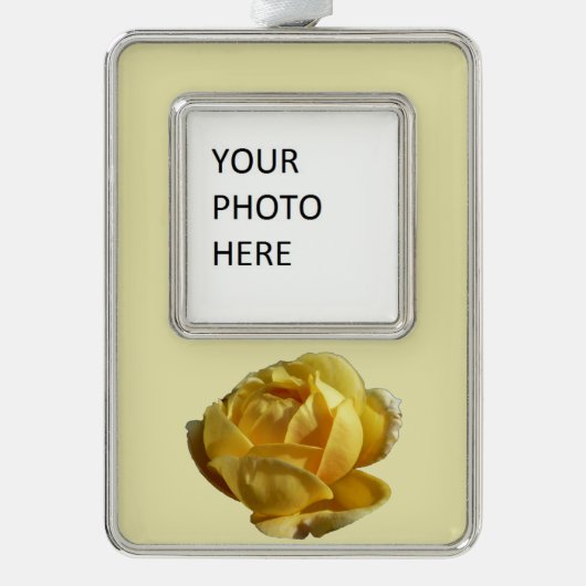 Gelbe Englische Rose Rahmen-Ornament Silber (Vorderseite)