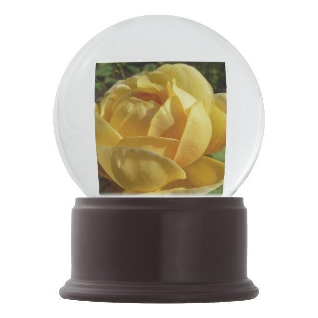Gelbe Englische Rose Schneekugel (Vorderseite)
