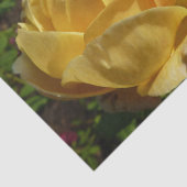Gelbe Englische Rose Seidenpapier (Ausschnitt)