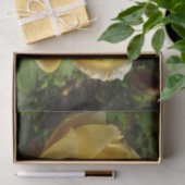 Gelbe Englische Rose Seidenpapier (Geschenk)