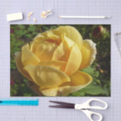 Gelbe Englische Rose Seidenpapier (Handwerk)