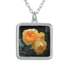 Gelbe Englische Rose Versilberte Kette