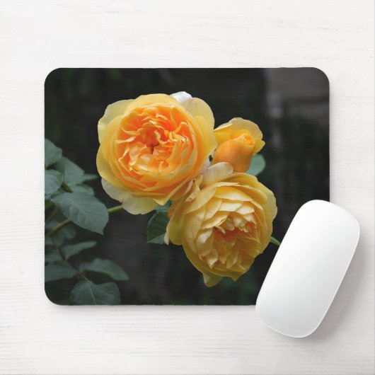 Gelbe englische Rosen Mousepad (Mit Mouse)