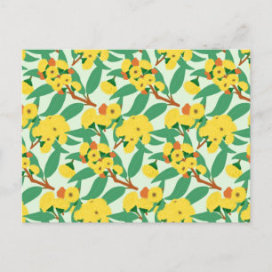 Gelbe Eukalyptusblüten Postkarte