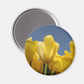 gelbe Feder Magnet (Vorderseite/Rückseite)