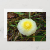 Gelbe Feldkappe Pilz-Postkarte Postkarte (Vorne/Hinten)