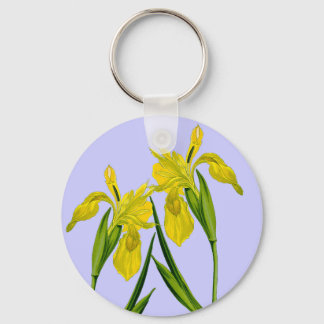 Gelbe Flagge Iris Botanischer Zeichnend Schlüssela Schlüsselanhänger