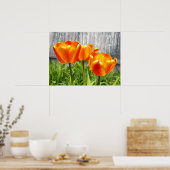 Gelbe Flammenblume Poster (Küche)