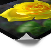 Gelbe Florale Rose Poster (Ecke)