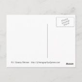 Gelbe Floss-Flugzeug-Postkarte Postkarte (Rückseite)