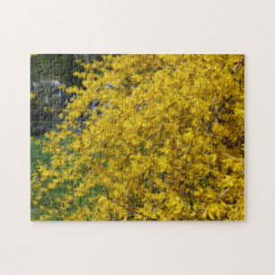 Gelbe Forsythia-Blume Orton-Effekt Puzzle