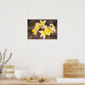 Gelbe Frangipani-Blume Poster (Küche)