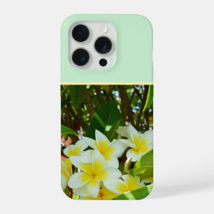 Gelbe Frangipani, die auf einem Baum wachsen, iPhone 15 Pro Hülle