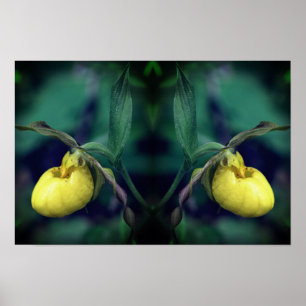 Gelbe Frauenschuh-Orchideen-Blume Natur Kunst Poster
