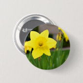 Gelbe Freude-Frühling Narzisse Button (Vorne & Hinten)