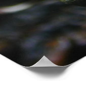 Gelbe Frösche Poster (Ecke)