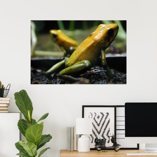 Gelbe Frösche Poster (Heimbüro)