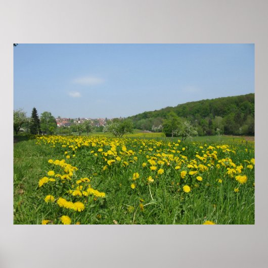 Gelbe Frühlingsblumen auf einer grünen Wiese Poster (Vorne)