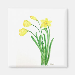 Gelbe Frühlingsblütenfarbe Narzissen Blume Magnet