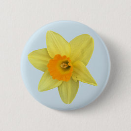 Gelbe Frühlingsdaffodien auf blass blau Button