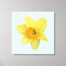 Gelbe Frühlingsdrossel Leinwanddruck