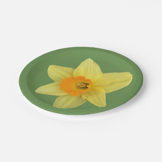 Gelbe Frühlingsdrossel Pappteller (Schrägansicht)