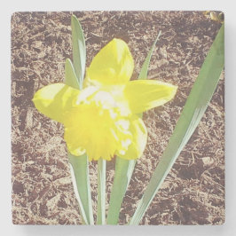 Gelbe Frühlingsdrossel Steinuntersetzer