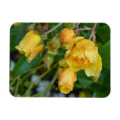Gelbe Frühlingsdruckmagnet-Rose Magnet (Horizontal)