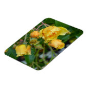 Gelbe Frühlingsdruckmagnet-Rose Magnet (Linke Seite)
