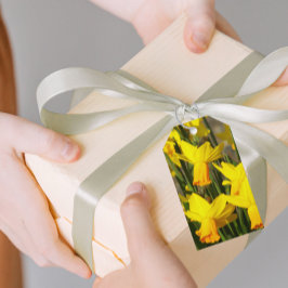 Gelbe Frühlingsdüster Geschenkanhänger