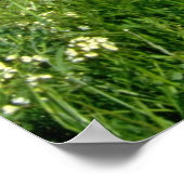 Gelbe Frühlingsfeld im zyprischen Gebirge Poster (Ecke)