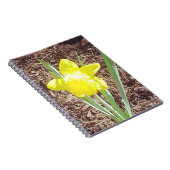 Gelbe Frühlingspülung Notizblock (Rechte Seite)