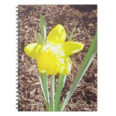 Gelbe Frühlingspülung Notizblock (Vorderseite)