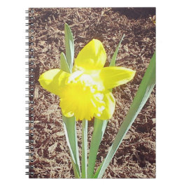 Gelbe Frühlingspülung Notizblock