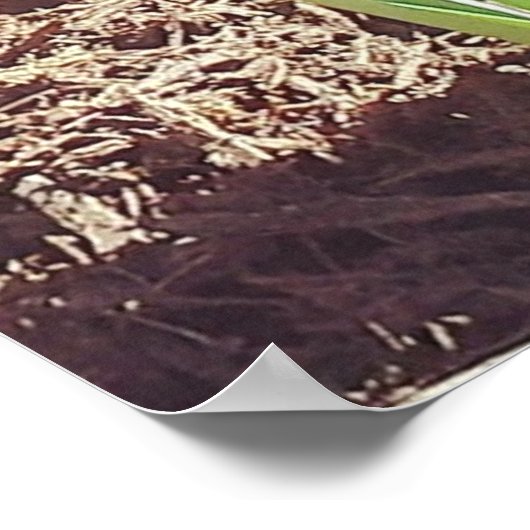 Gelbe Frühlingspülung Poster (Ecke)