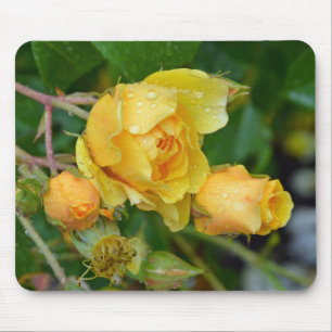 Gelbe Frühlingsstifte Rose drucken Mousepad
