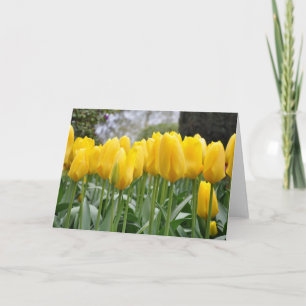 Gelbe Frühlingtulis Karte