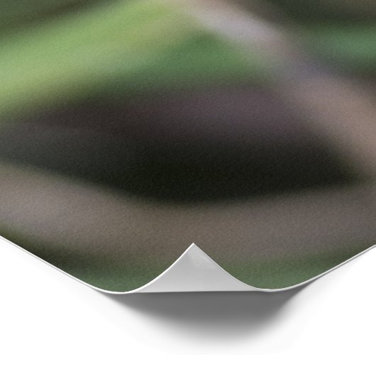 Gelbe Fuzzy-Raupe Poster (Ecke)