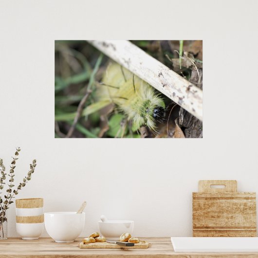Gelbe Fuzzy-Raupe Poster (Küche)