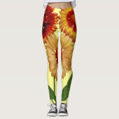 Gelbe Gaillardias-Blume Leggings (Vorderseite)